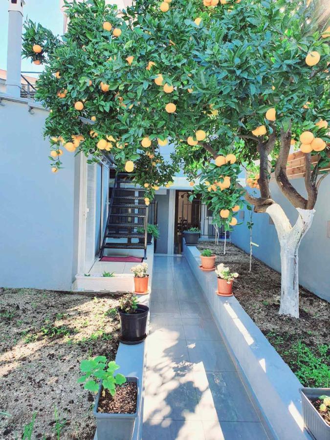 Evia'S Apartment - New Apartment In Town! Kota Zakynthos Bagian luar foto